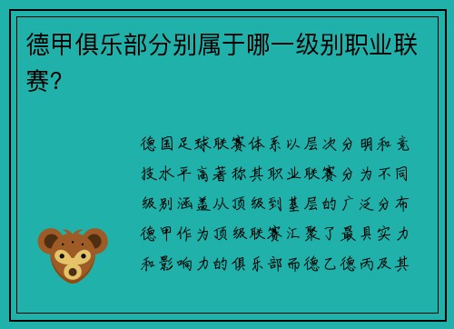 德甲俱乐部分别属于哪一级别职业联赛？